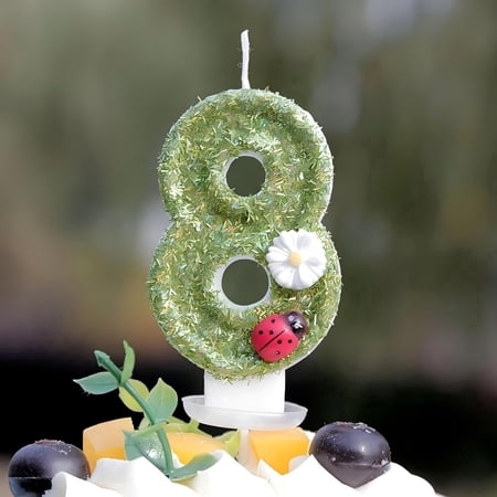 Rechale Creative Birthday Number Candles, Birthday Cake Candles, Birthday Party Wedding Anniversary Decoration, Cake Decoration (Ladybird, 8)