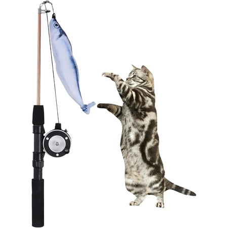 Rechale Retractable Cat Teaser Wand with Replaceable Feather & Fish Attachments - Interactive Cat Toy Fishing Pole with Adjustable Line Length for Indoor/Outdoor Play & Exercise