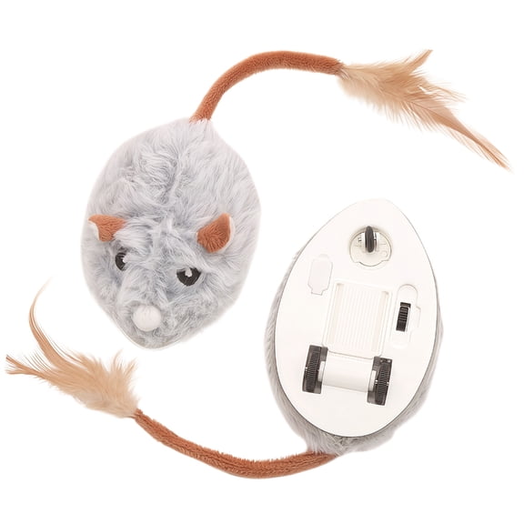 Rechargeable Electric Toy With Random Motion And Sound For Indoor Play