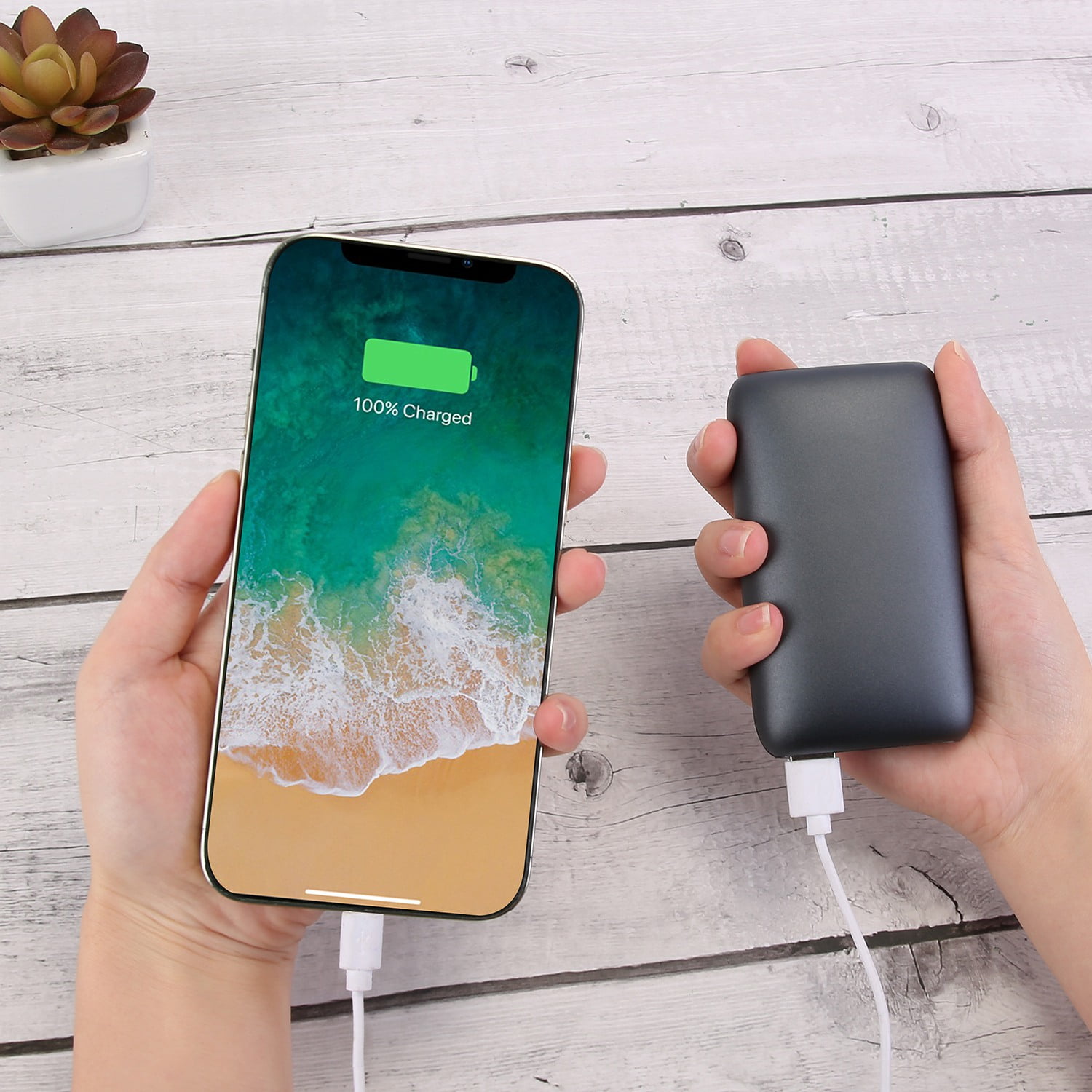 Rechargeable Hand Warmer  10000mAh Power Bank Double-Sided Heating with 3 Temperature Levels for Winter Gift