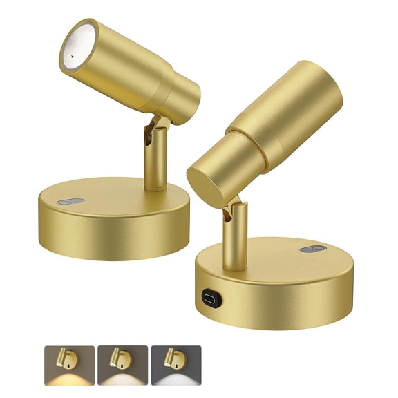 Rechargeable Indoor Spot Lights with Remote Control, Dimmable CCT Spotlight for Wall Art and Plant Display, 6000mAh Battery Uplights with Timer for Artwork and Sofa Corner Lighting in Gold