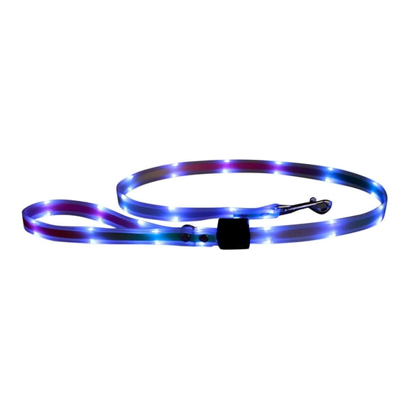 Rechargeable LED Dog Collar and Leash Set Glow in The Dark Adjustable Soft Nylon Light Up Safety Collar for Small Medium Large Dogs Night Time Walking Jogging Outdoor Pet Supplies
