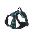 thumbnail image 1 of Rechargeable LED Luminous Dog Harness – Adjustable, Glowing for Night Walks, 1 of 8