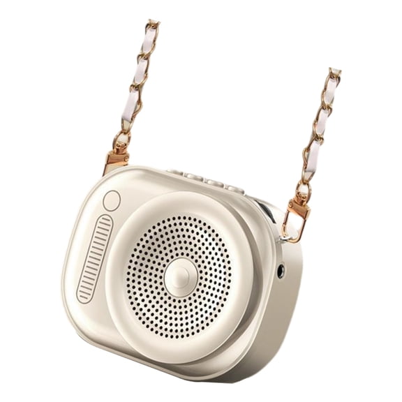 Rechargeable Lightweight Design Ideal For Instructors Conference Speakers And Journey Guides With Loud Clear