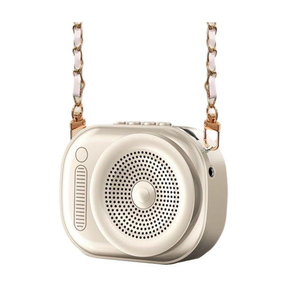 Rechargeable Lightweight Design Ideal For Instructors Conference Speakers And Journey Guides With Loud Clear