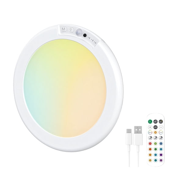 Rechargeable Motion Sensors Ceiling Light With Remote Control Wireless Ceiling Lamp for Bedroom Living Room