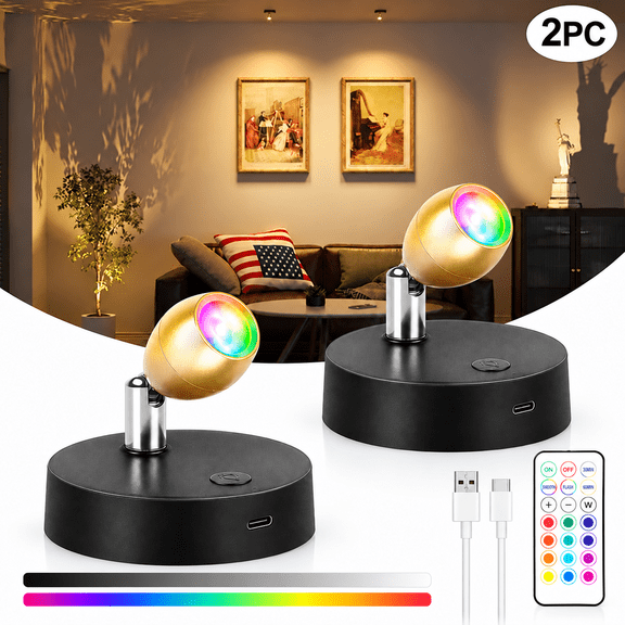 DOLIZU Night Light, wall lamp, 13 Colors Dimmable LED Accent Lights with Remote, 360 Adjustable Wireless Wall Spotlight for Art, Plants, Display, 2 Pack