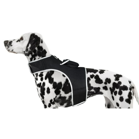 Rechargeable Realtime Tracker w/ Perimeter Fencing Capable Pet GPS App Size:XS