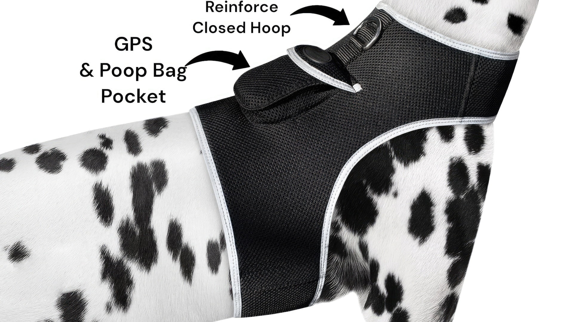 Rechargeable Reputable Finder Collar GPS Tracking Device for Dogs + Gyro Sensor Size:L