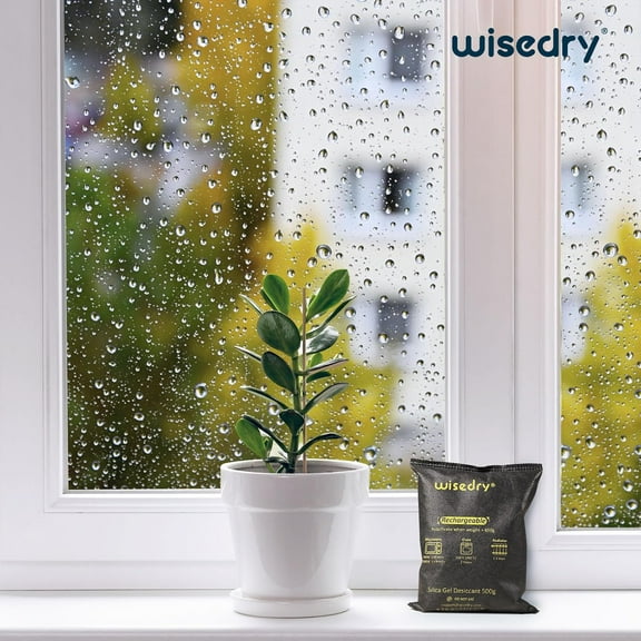 Rechargeable Silica Gel Car Dehumidifier 2 x 500g for  Absorption in , Garages, Closets