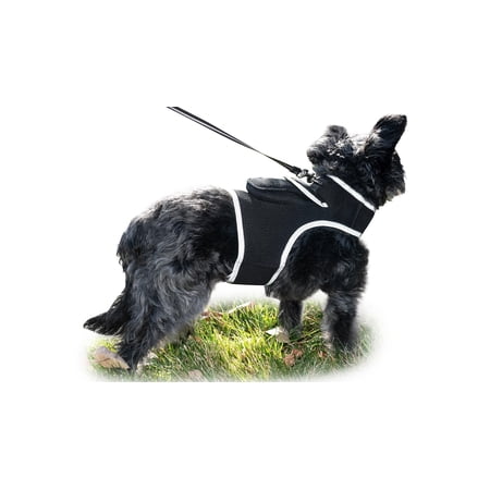 Rechargeable Water/Dust Resistant Pocket GSM GPS Pet Tracker for Cats Size:L