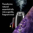 thumbnail image 1 of Reckitt Benckiser RAC Air Wick Essential Mist Refill, Lavender & Almond Blossom Fragrance, 1 of 1