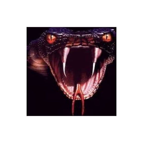 Reckless Reckless - Encounter, Book 1, (Paperback)