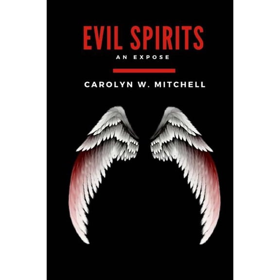 Recognizing Evil Spirits: Evil Spirits : An Expose (Series #1) (Paperback)