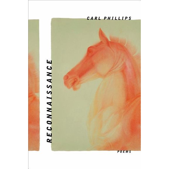 Reconnaissance : Poems (Hardcover)