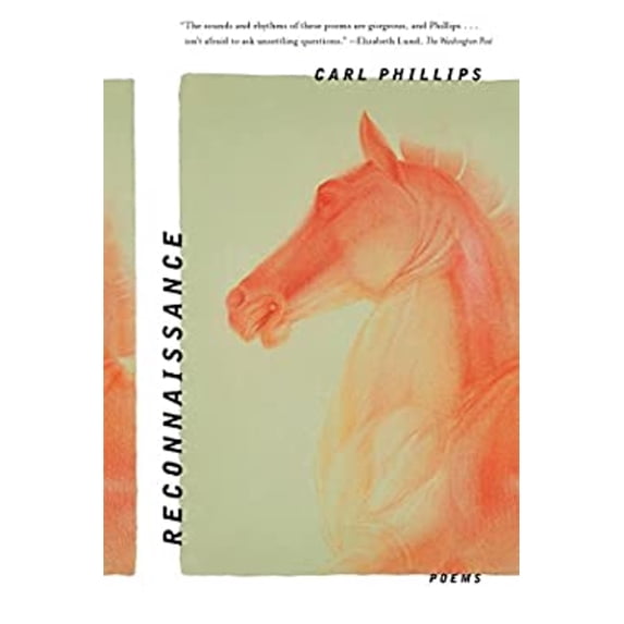 Pre-Owned Reconnaissance : Poems (Paperback) 9780374536558