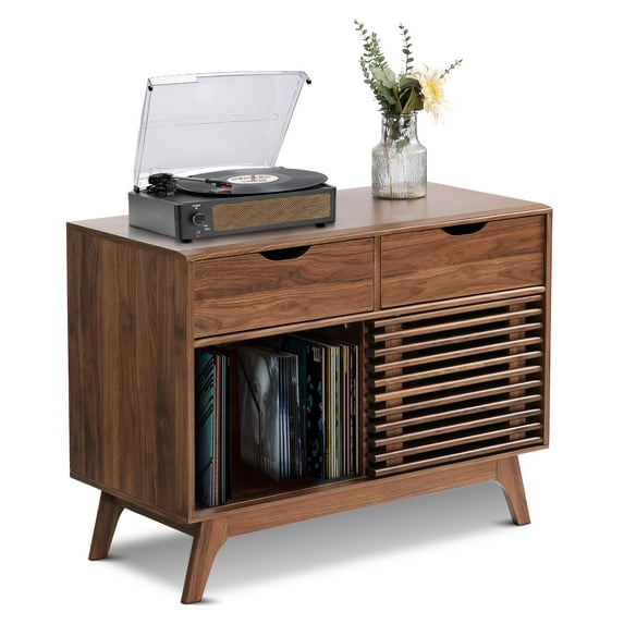 Record Display Cabinet