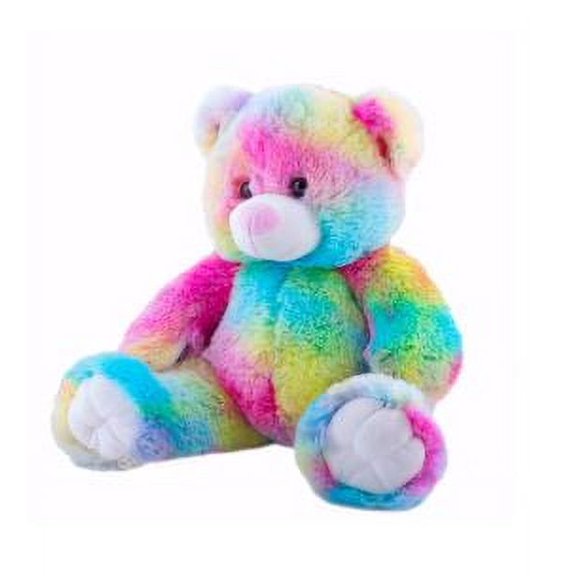 Record Your Own Plush 16 inch Rainbow Bear - Ready 2 Love in a Few Easy Steps