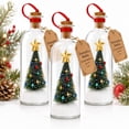 thumbnail image 1 of Recordable Christmas Tree Message in a Bottle Ornament,30-Second Voice Recording Keepsake with Snowy Mini Trees,Glass Holiday Decoration for Mantel(2PCS), Lazyguy, 1 of 9
