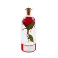 thumbnail image 1 of Recordable Christmas Tree Message in a Bottle Ornament, Voice Recording Holiday Keepsake with Playback, Snowy Scene Glass Bottle Decoration for Tree and Home (C), 1 of 4