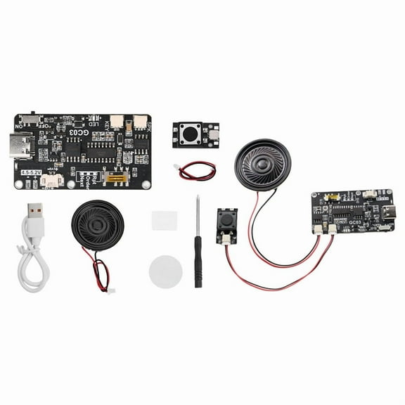 Recordable Sound Module with MP3 Download TYPE-C for Gift Box Christmas Birthday Card Music Cover Wall Without Battery