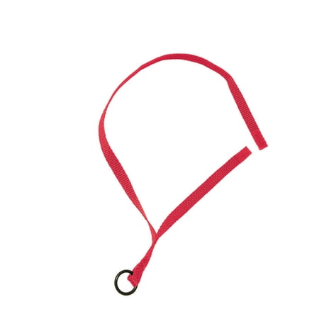 Recorder Safety Neck Strap - Red - Pack of 20