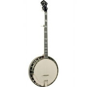 Recording King Elite Series Pro Resonator Banjo w/ Case