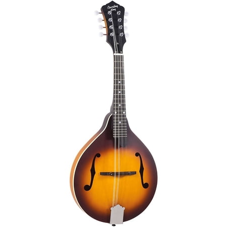 Recording King RAM-3 Dirty 30s A-Style Mandolin Tobacco Sunburst