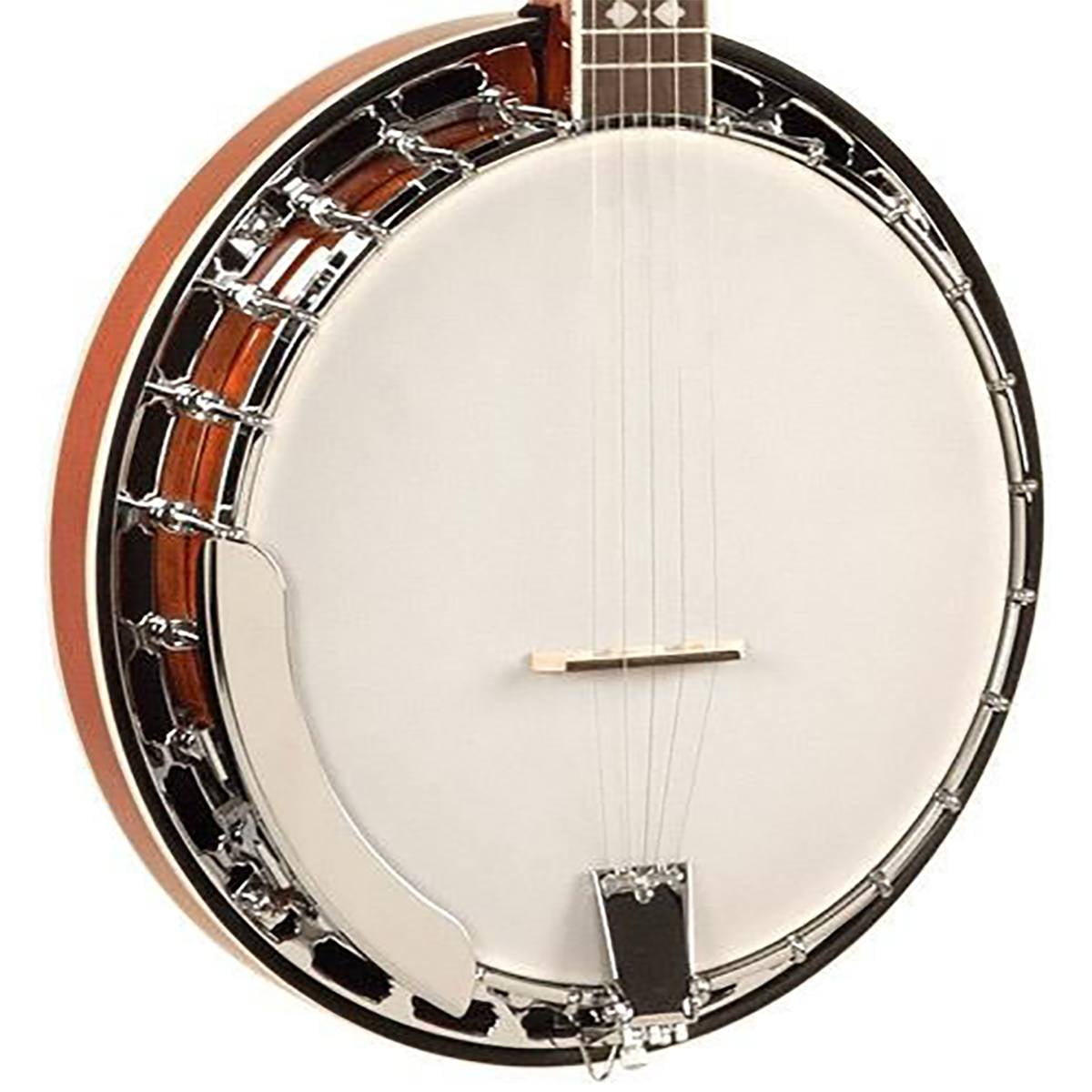 RecordingKINGバンジョー Banjos — Recording King