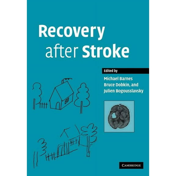 Recovery After Stroke, (Paperback)