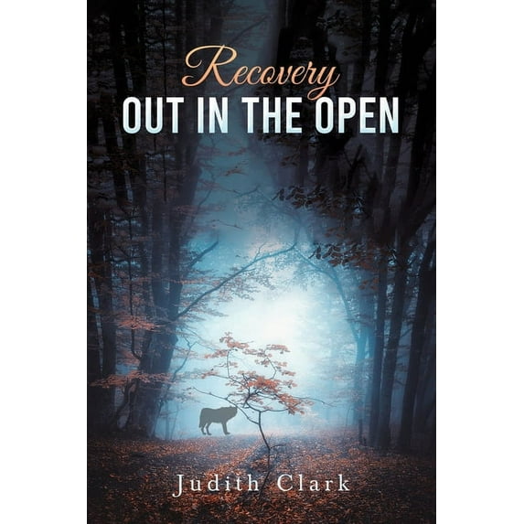 Recovery: Out in the Open, (Paperback)