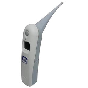 Rectal Thermometer
