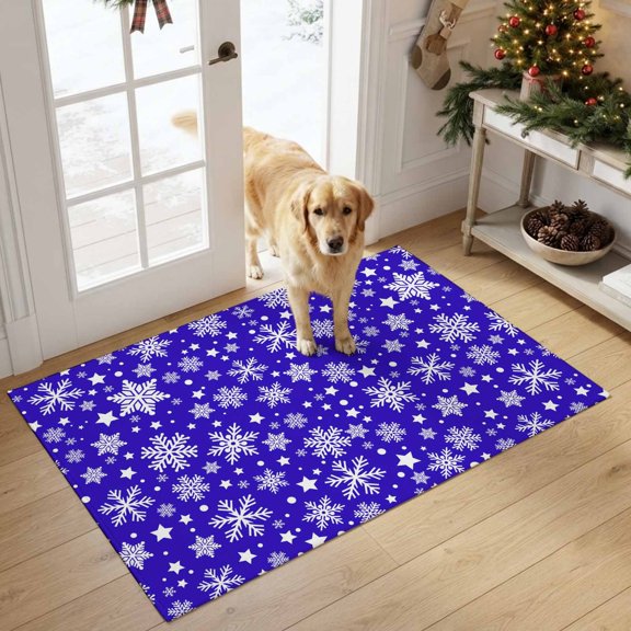 Rectangle Area Rug 2x3ft, Winter Snowy Snowflakes Non-Slip Non-Shedding Floor Mat, Blue and White Washable Sturdy Carpet for Living Room Bedroom Home Decor
