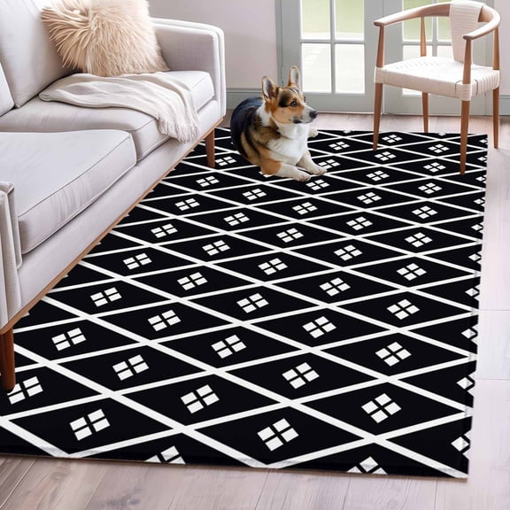 Rectangle Area Rug 4x6ft, Abstract Black White Geometric Pattern Non-Shedding Washable Area Rug, Boho Diamond Plaid Line Non Slip Low-Profile Rugs for Living Room, Bedroom Dining Room
