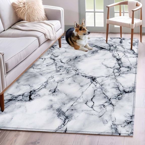 Rectangle Area Rug 4x6ft, Abstract Marble Stone Texture Non-Slip Non-Shedding Floor Mat, Natural Crack Gray Rock Washable Sturdy Carpet for Living Room Bedroom Home Decor