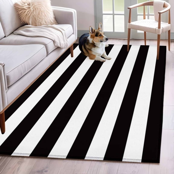 Rectangle Area Rug 4x6ft, Black White Horizontal Stripe Non-Slip Non-Shedding Floor Mat, Simple Texture Washable Sturdy Carpet for Living Room Bedroom Home Decor