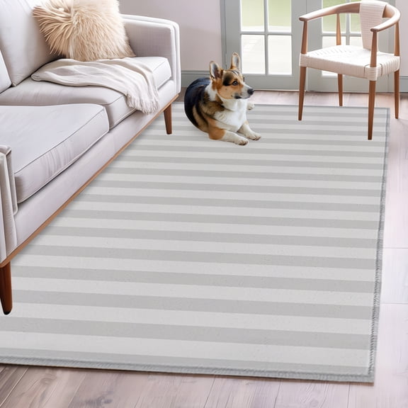 Rectangle Area Rug 4x6ft, Modern Gray Vertical Stripes Non-Slip Non-Shedding Floor Mat, Minimalist Geometric Line Washable Sturdy Carpet for Living Room Bedroom Home Decor