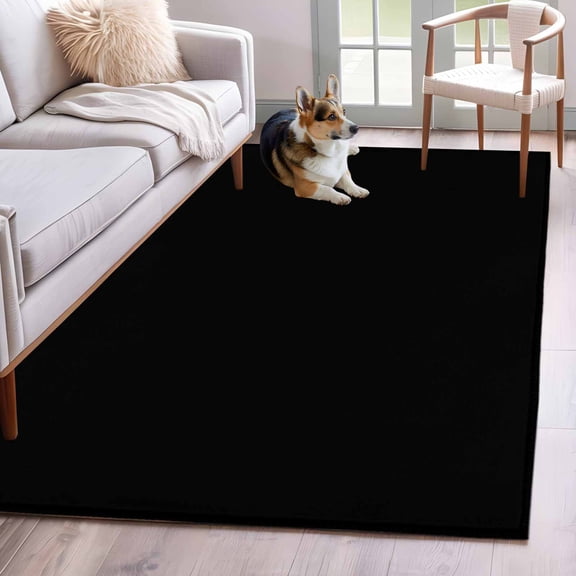Rectangle Area Rug 4x6ft, Solid Art Minimalist Pure Black Non-Shedding Washable Area Rug, Plain Single Dark Color Non Slip Low-Profile Rugs for Living Room, Bedroom Dining Room