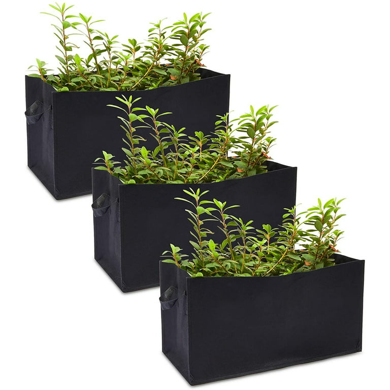 https://i5.walmartimages.com/seo/Rectangle-Grow-Bags-with-Handles-for-Vegetables-Fabric-Planter-23-6-x-11-8-in-3-Pack_6cb67be0-c8ba-410a-803c-f8cfb2204227.7f1c1e6439ccda3e1fcd18f4754f1a92.jpeg?odnHeight=768&odnWidth=768&odnBg=FFFFFF