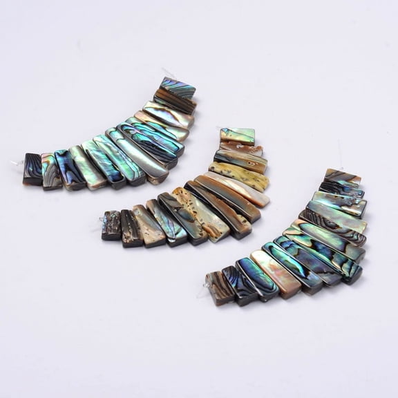 Rectangle Natural Abalone Shell/Paua ShellGraduated Beads Strands 11~26x5.2~5.8x2~3mm Hole: 1mm 13pcs/strand Paua Shell