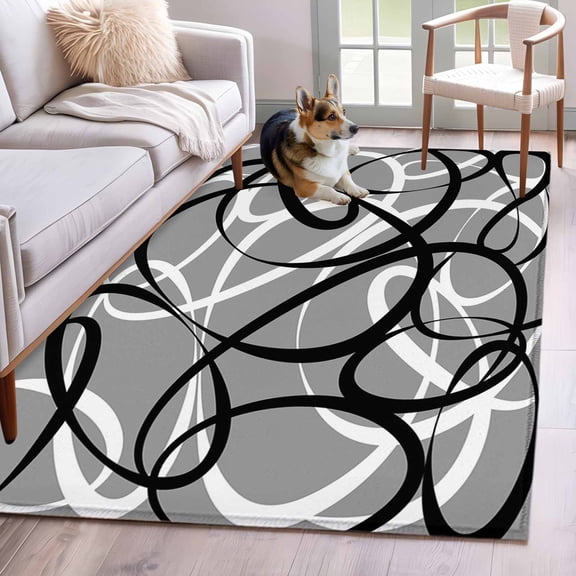 Rectangle Rug 4x6ft Area Rug,Abstraction Distortion Lines Art Area Rugs for Living Room Bedroom,Black White Gray Floor Mat Non-Slip Non-Shedding Carpet Indoor Accent Rugs