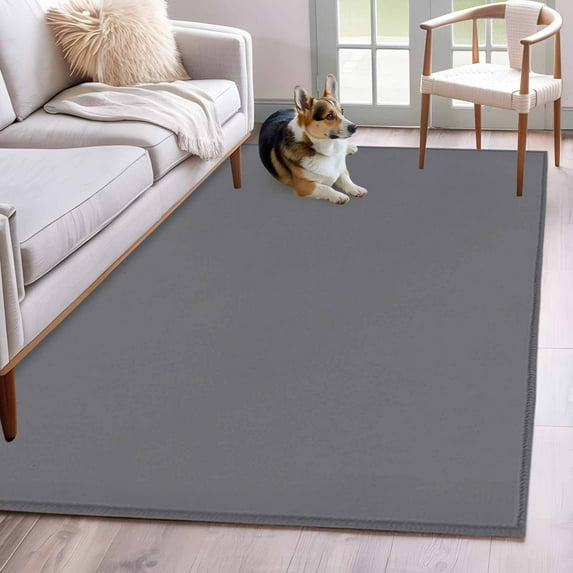 Rectangle Rug 4x6ft Area Rug, Pure Color Light Gray Area Rugs for Living Room Bedroom, Minimalist Style Grey Floor Mat Non-Slip Non-Shedding Carpet Indoor Accent Rugs