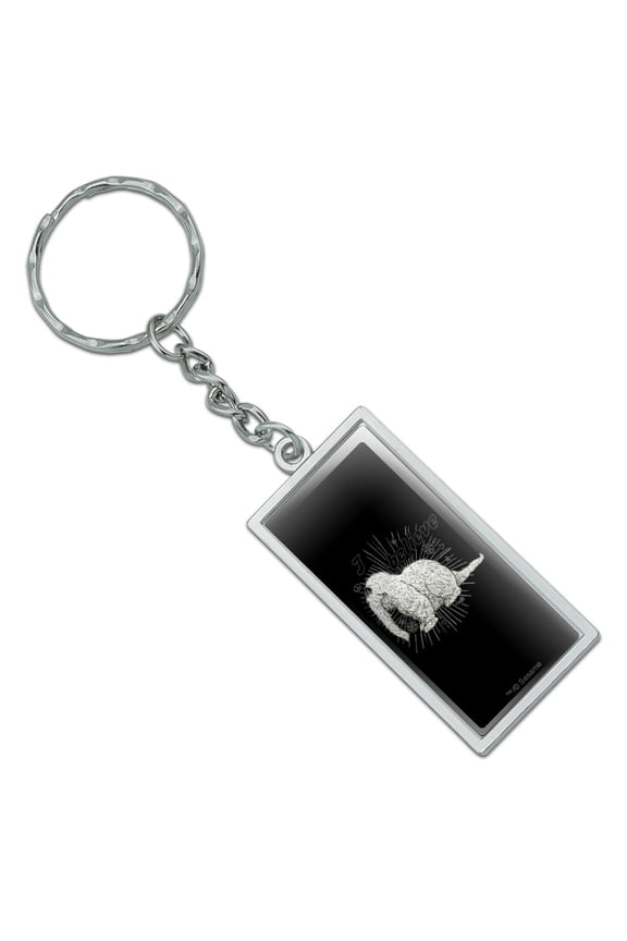 Rectangle Sesame Street Snuffleupagus I Believe Keychain in Chrome Plated Metal