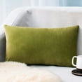 thumbnail image 1 of Rectangle Velvet Throw Pillow Cover in Various Colours, Plush Waist Cushion, Soft and Comfortable Cushion for Sofa and Bed, 1 of 6