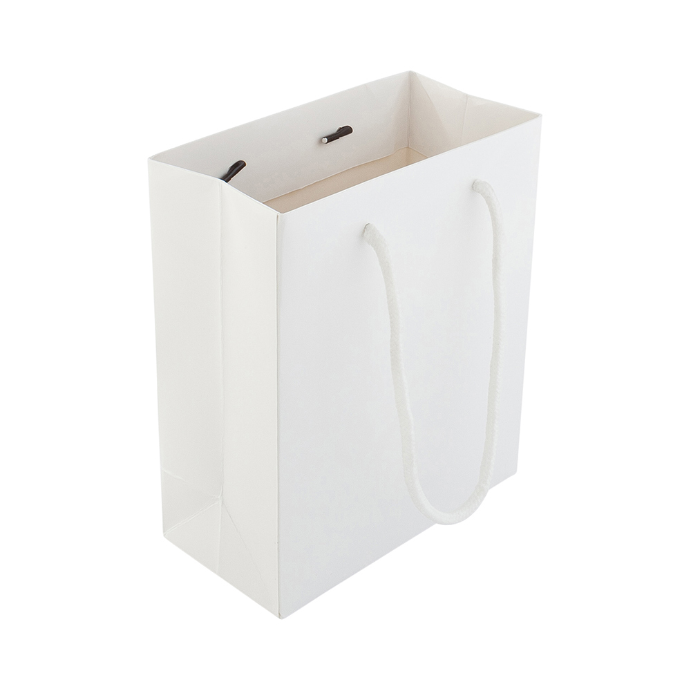 Small Flat Rectangular Bag Rectangle White Paper Small Shopping and Take Out Bag - Glossy, Rope ...