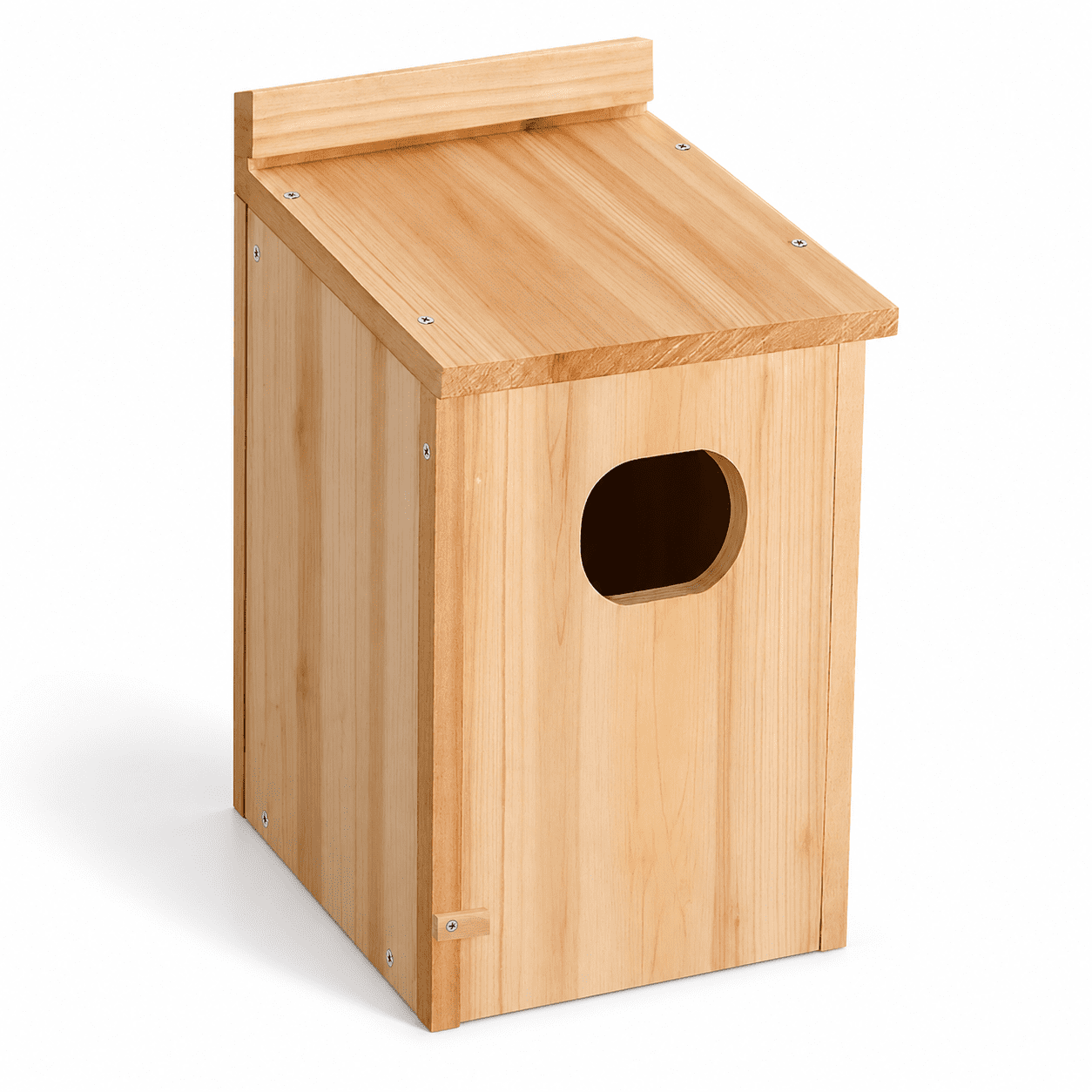 Rectangular Duck House, 17