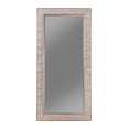 thumbnail image 1 of Rollins 32 x 66 Inch Rectangular Wall Mirror Silver, 1 of 3