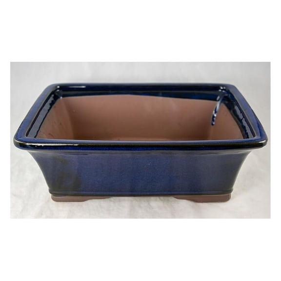 Rectangular Glazed Pot, Cactus & Planter + Mesh 12 inches x 9 inches x 4 inches - Dark Blue Stain