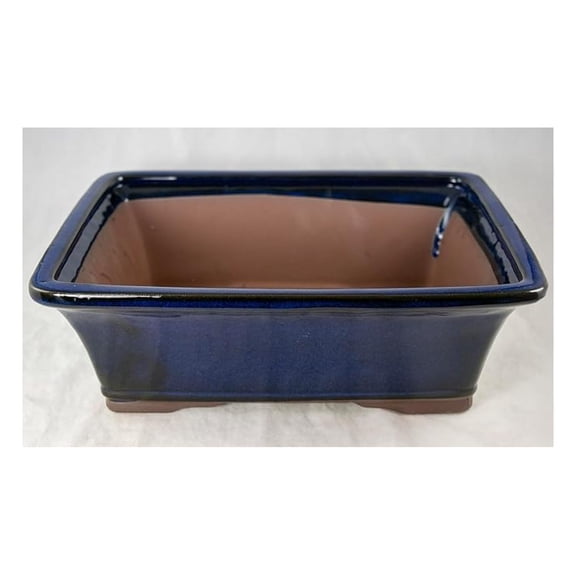 Rectangular Glazed Pot, Cactus & Planter + Mesh 12 inches x 9 inches x 4 inches - Dark Blue Stain