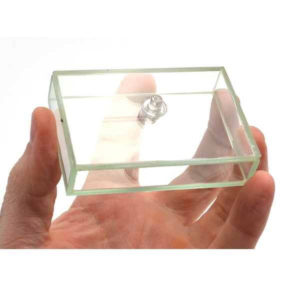 Rectangular Hollow Fillable Glass Box with Plug - 3" x 2" x .7" - Eisco Labs
